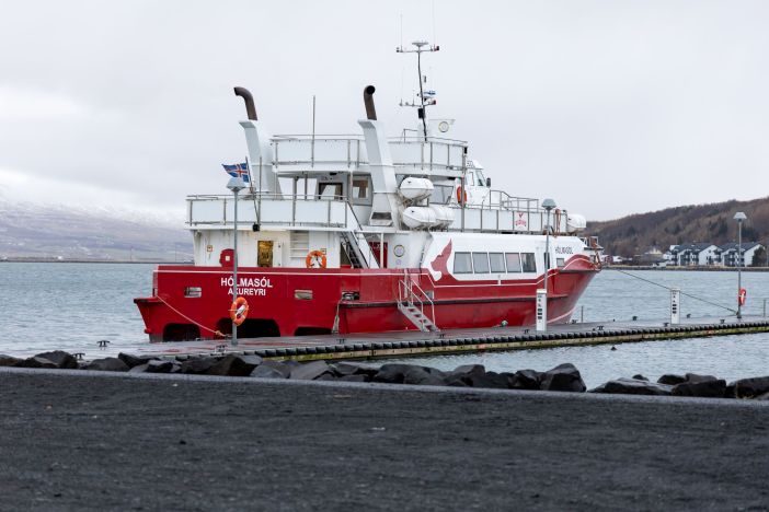 Akureyri Whales