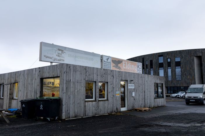 AkureyriWhales winter 2