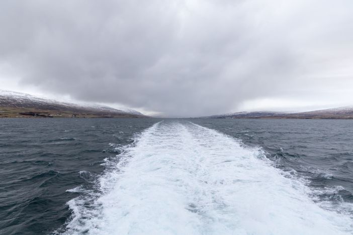 AkureyriWhales winter 3